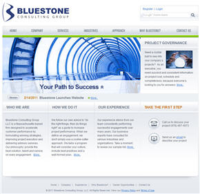 Bluestone Consulting Group website